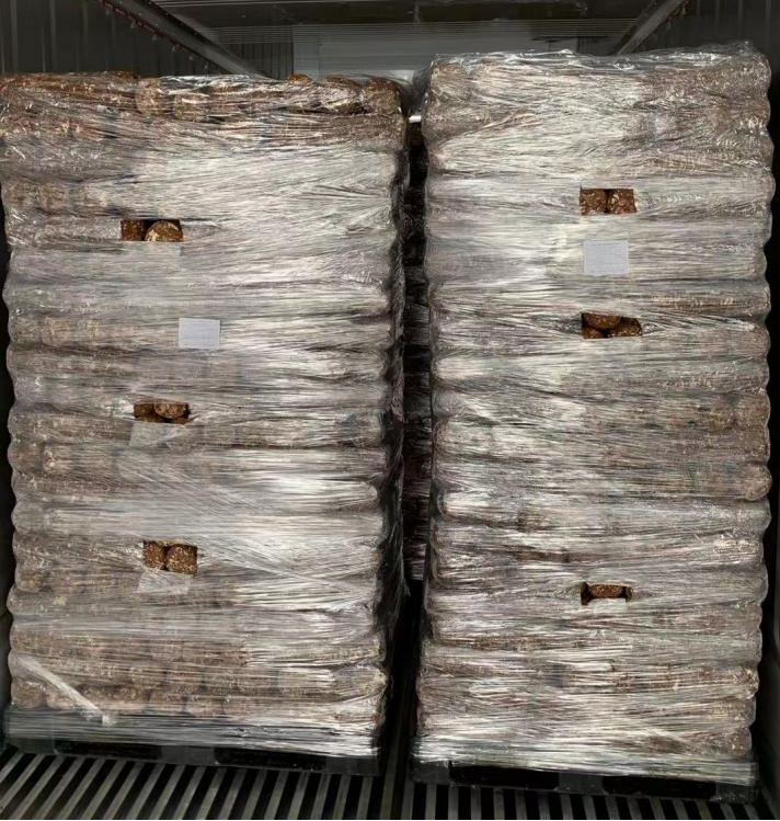 Shiitake Mushroom Spawn