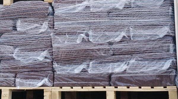 Agaricus Bispours Logs