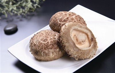 Shiitake Mushroom