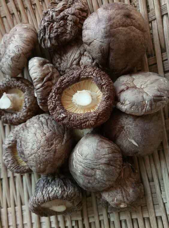 Dried shiitake mushrooms