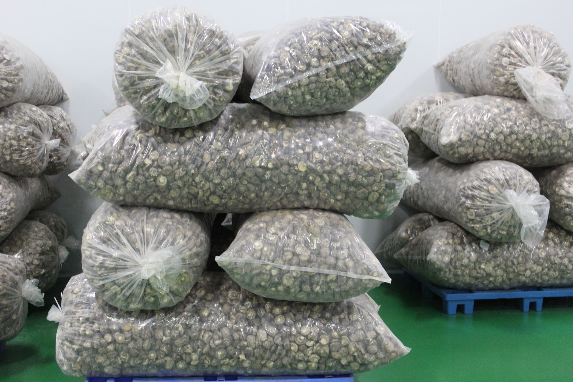 Dried shiitake mushrooms