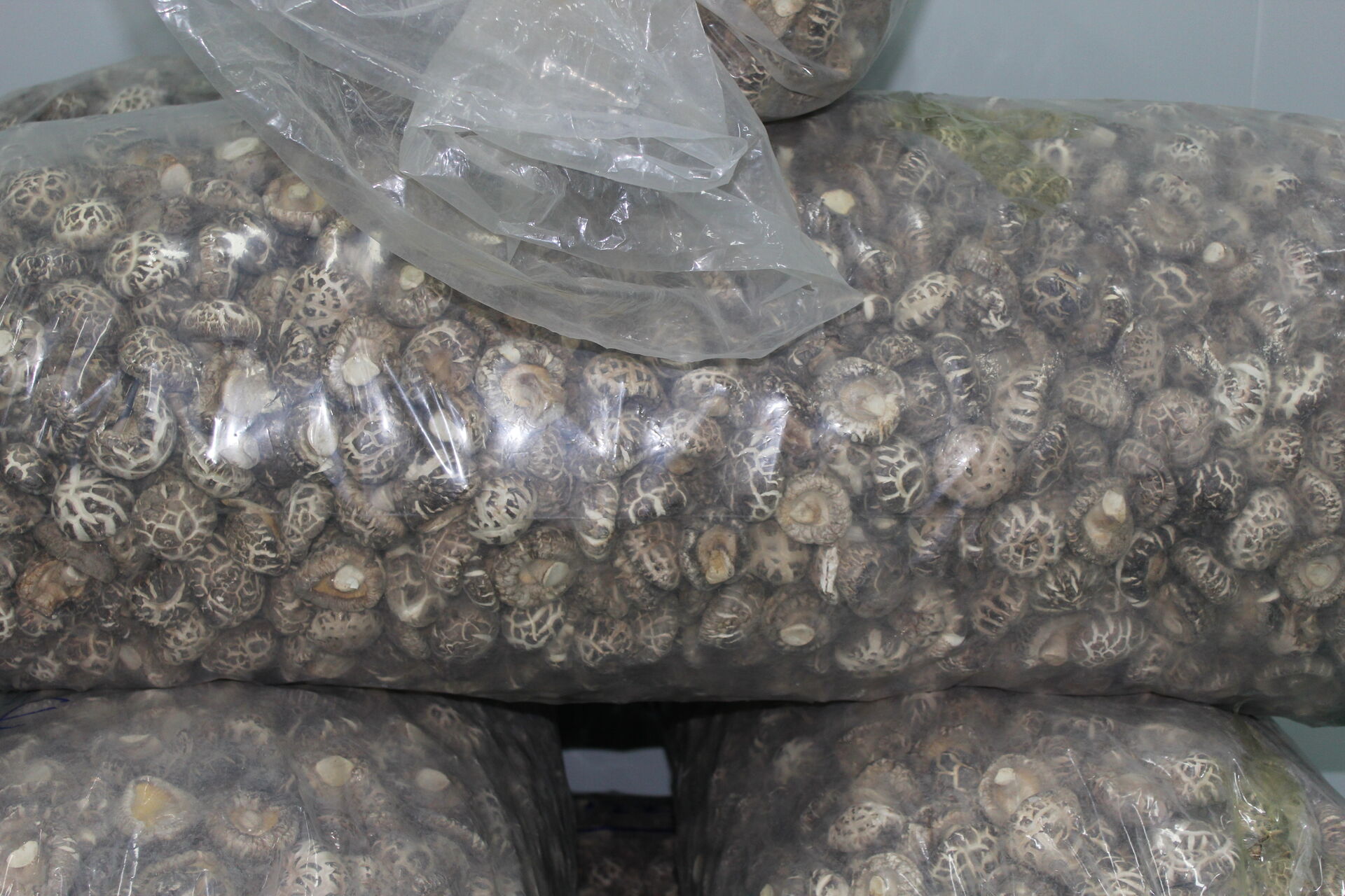 Dried shiitake mushrooms