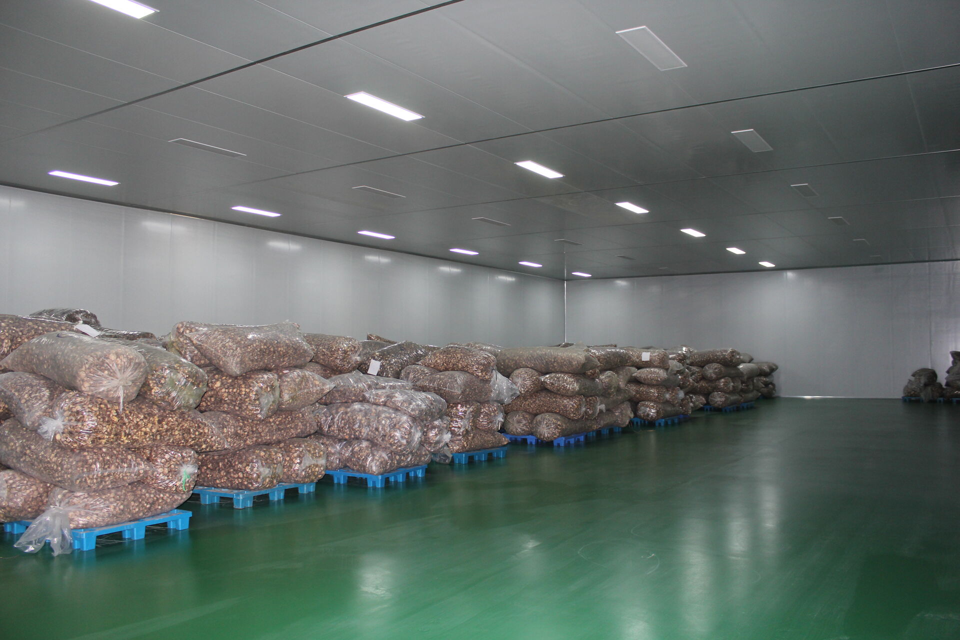 Dried shiitake mushrooms