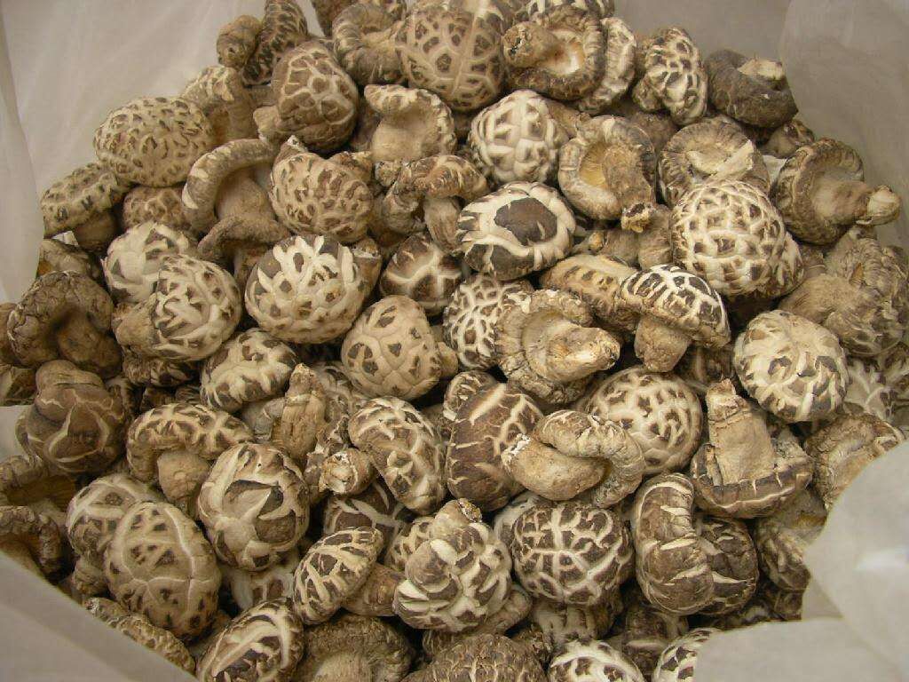 Dried shiitake mushrooms