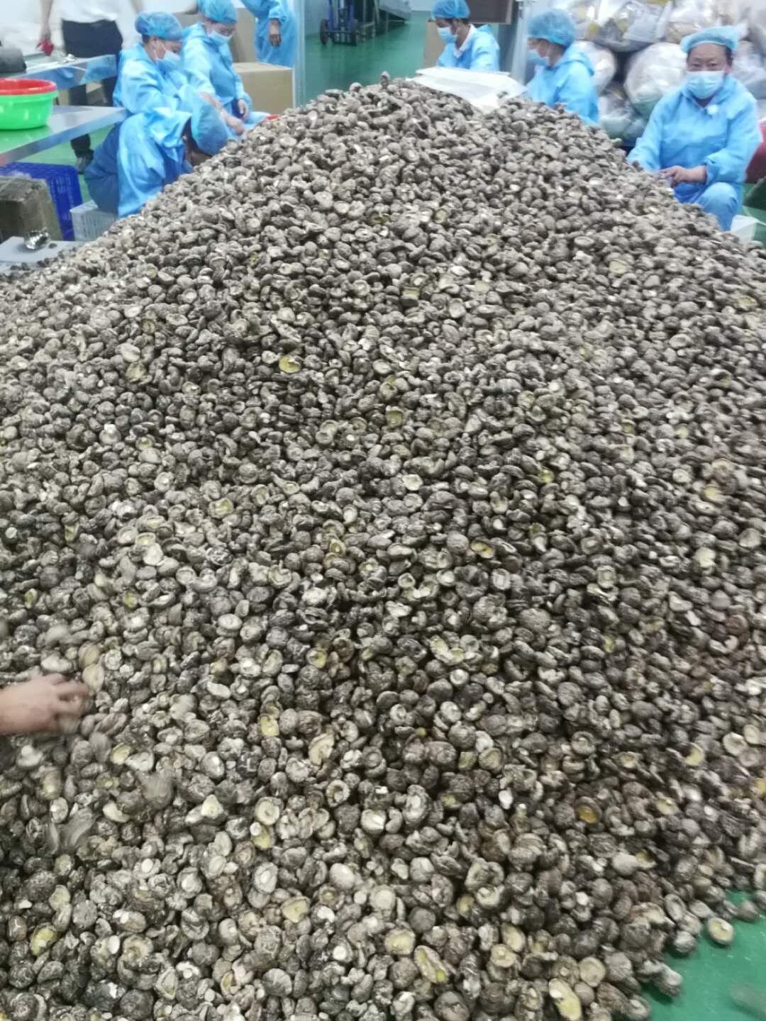 Dried shiitake mushrooms