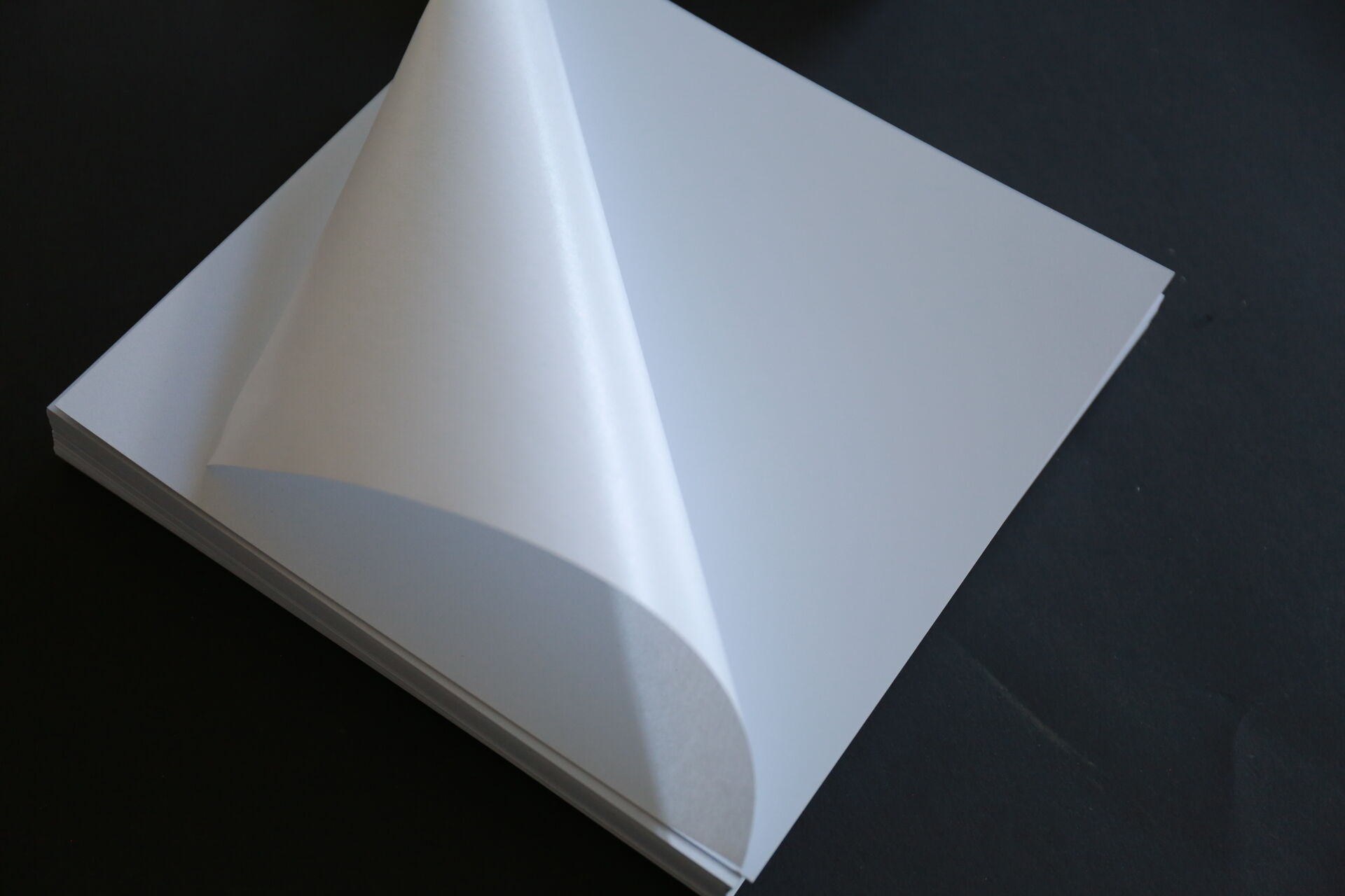 Álbum de fotos Hojas de PVC autoadhesivas para páginas interiores