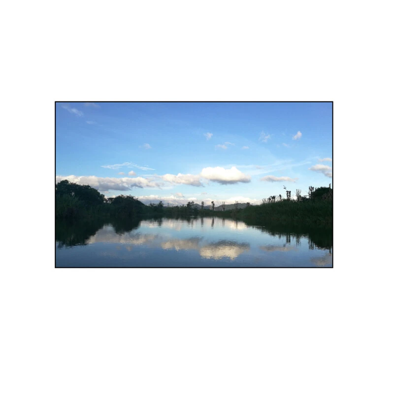JVS-LCD55-17U