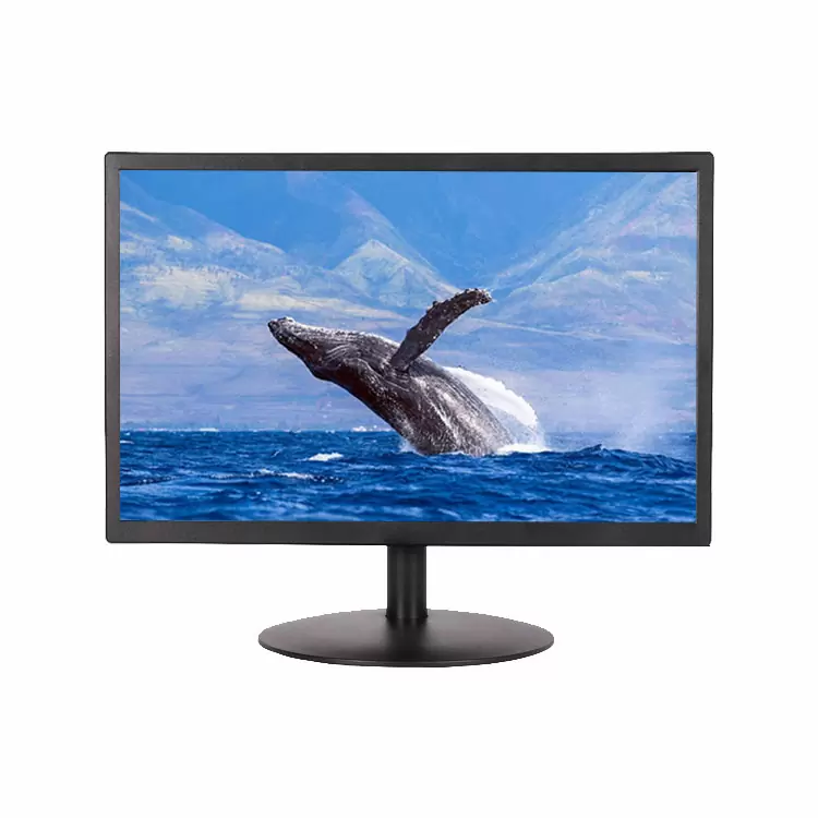 22″ LED Monitor
