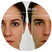 Report on hourly traffic 
minus staffing members