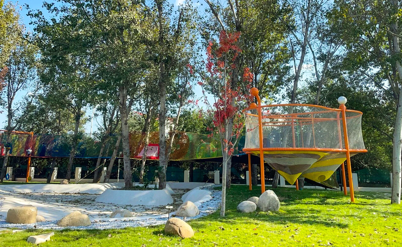 Treetop Nets Outdoor Forest Playground | Family Adventure & Safe Climbing