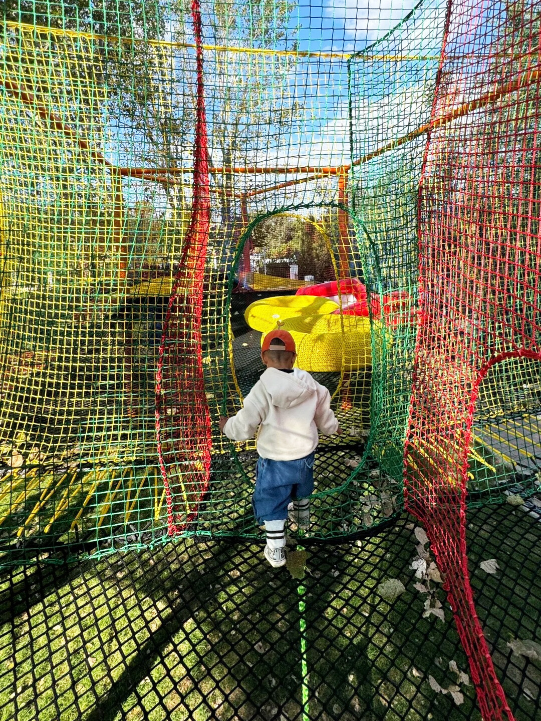 treetop-nets-forest-family-zone-viewing-deck-safety