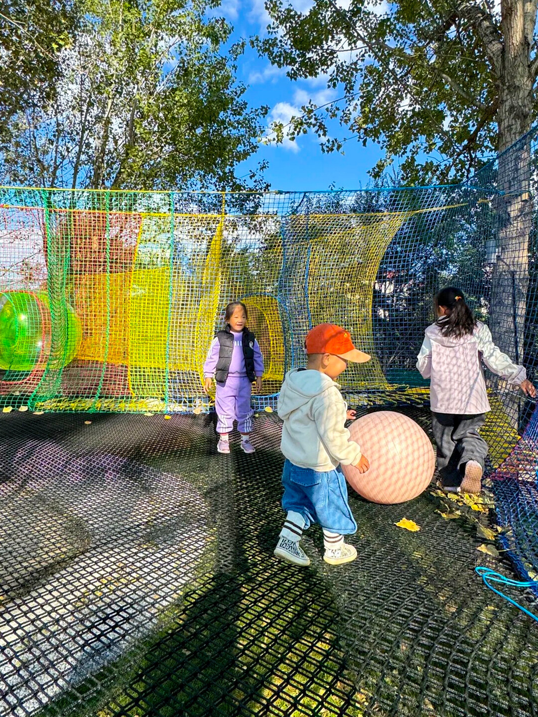 treetop-nets-noninvasive-tree-wrap-mounting-detail