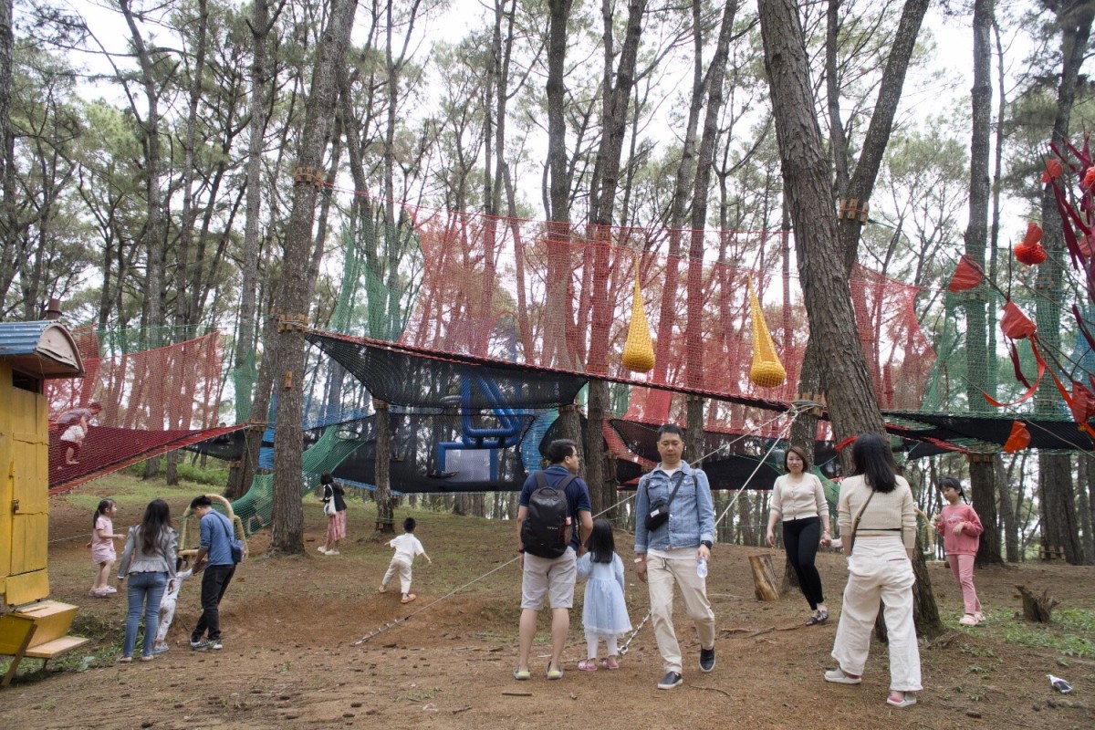 tree-trampoline-rope-net-anchoring-detail