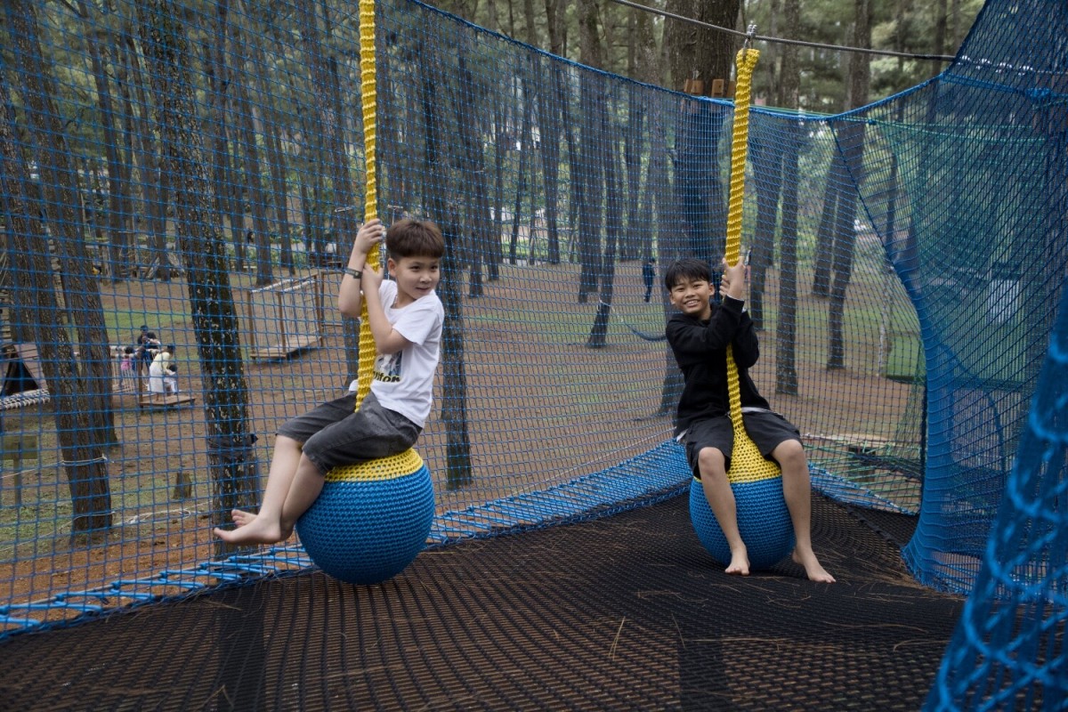 treetop-trampoline-net-adventure-experience