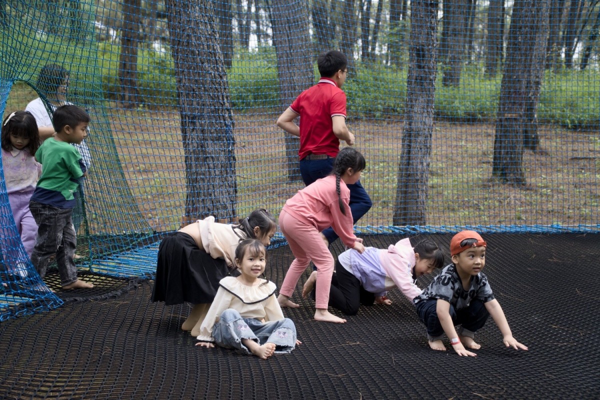 children-playing-on-tree-trampoline-net