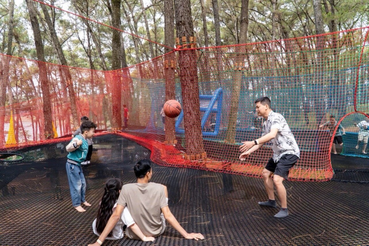 tree-trampoline-net-play-forest-overview