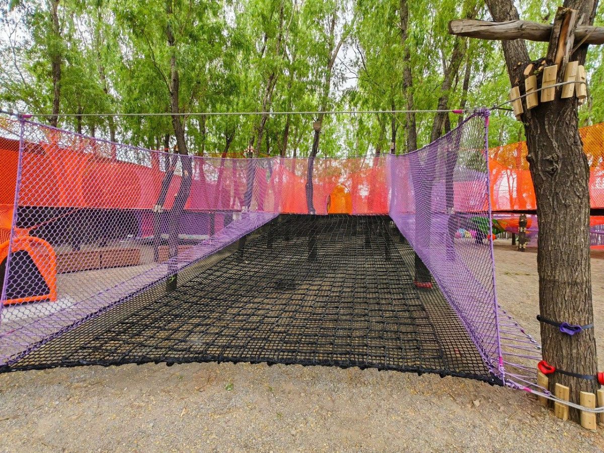 2 Non-Powered Rope Course Case Study | A 600-square-meter forest transformed into a multi-level, immersive rope course adventure park ?