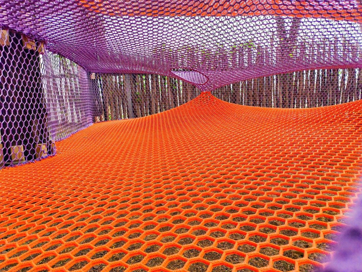 4 Non-Powered Rope Course Case Study | A 600-square-meter forest transformed into a multi-level, immersive rope course adventure park ?
