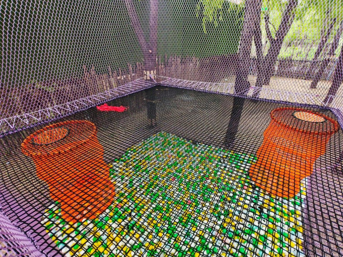 3 Non-Powered Rope Course Case Study | A 600-square-meter forest transformed into a multi-level, immersive rope course adventure park ?