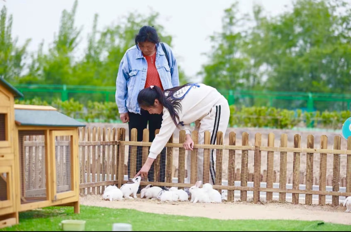 Nets Tribe Invites Families to Experience Its Self-Developed Children’s Playground During Holiday Season