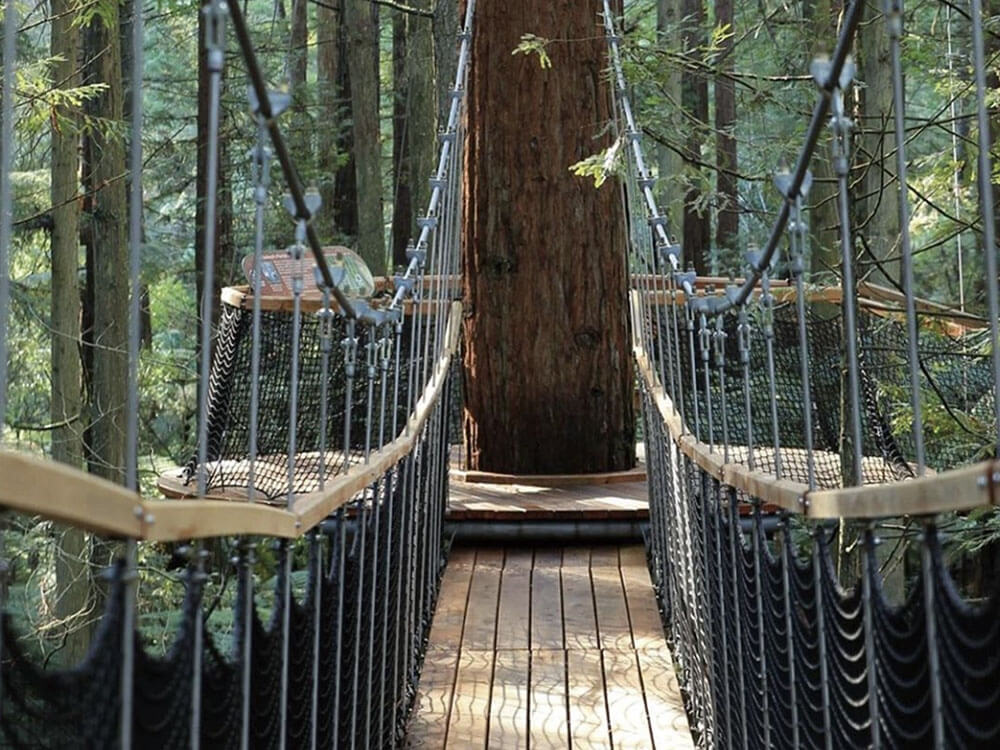 tree-based bridge