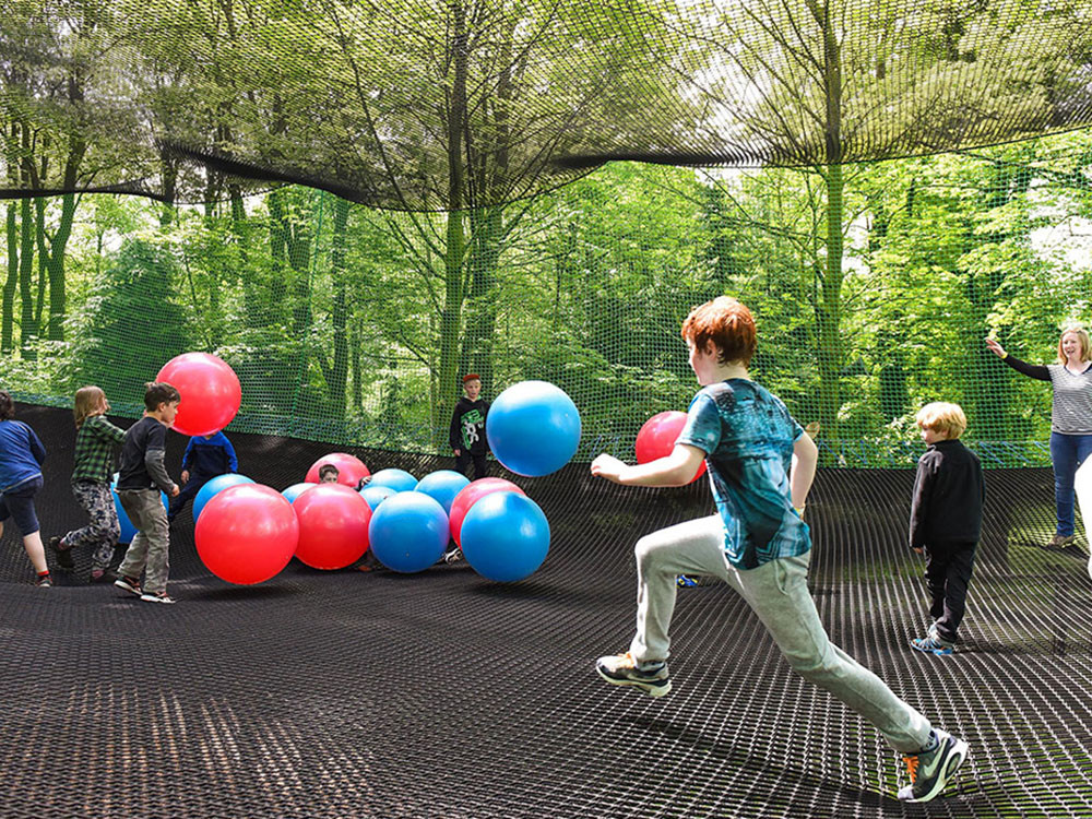 Tree Trampoline (2).jpg