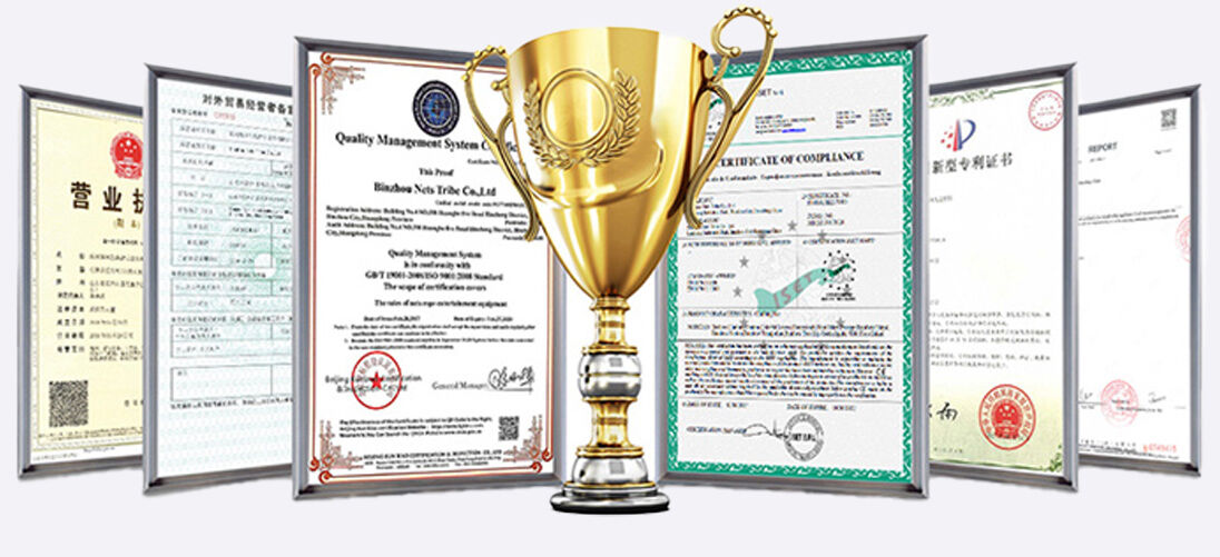 IP image customization IP image customization