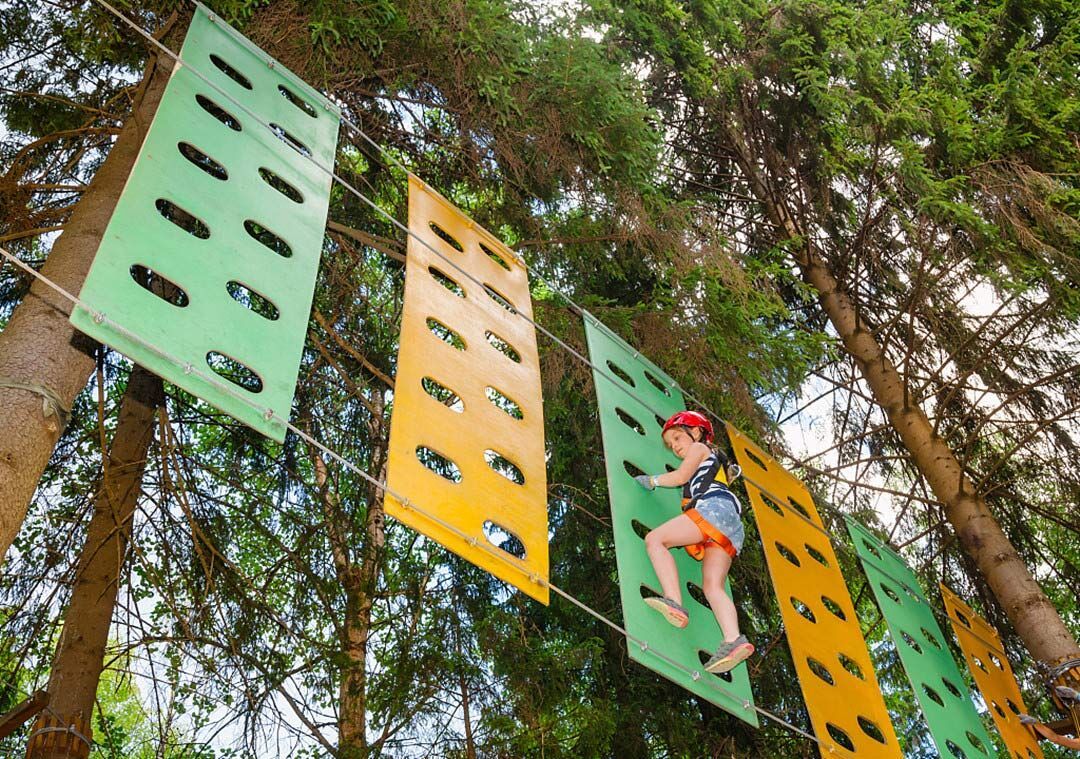 Jungle Rope Course (2).jpg