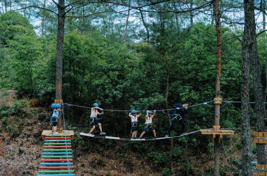 Jungle Rope Course (6).jpg