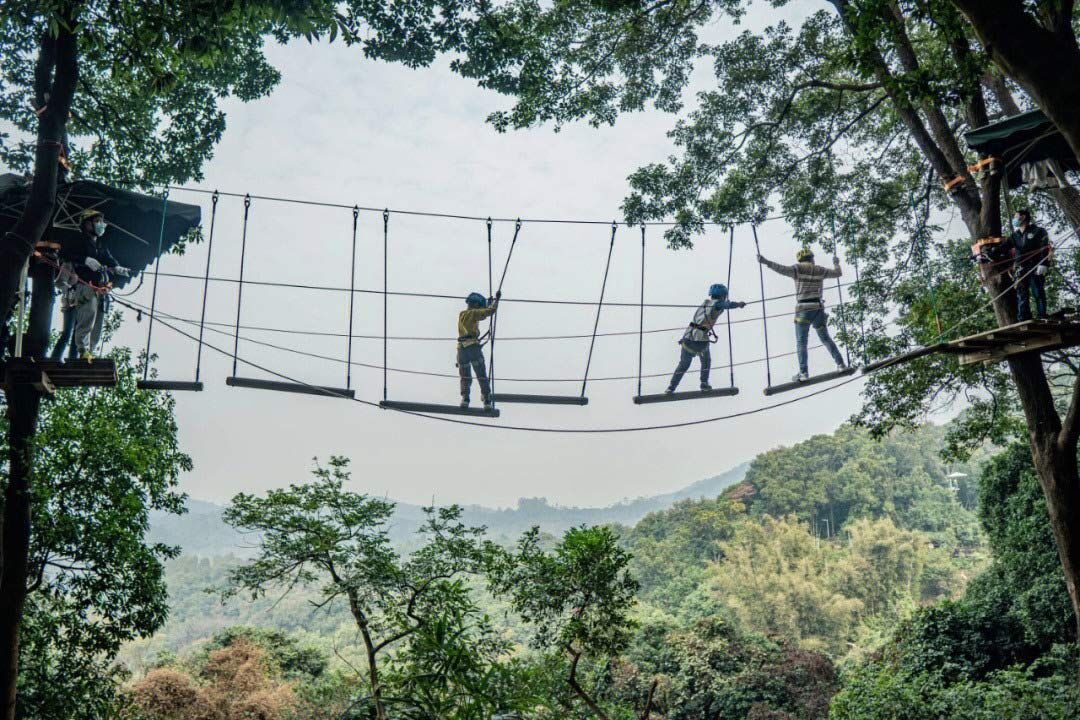 Jungle Rope Course (7).jpg