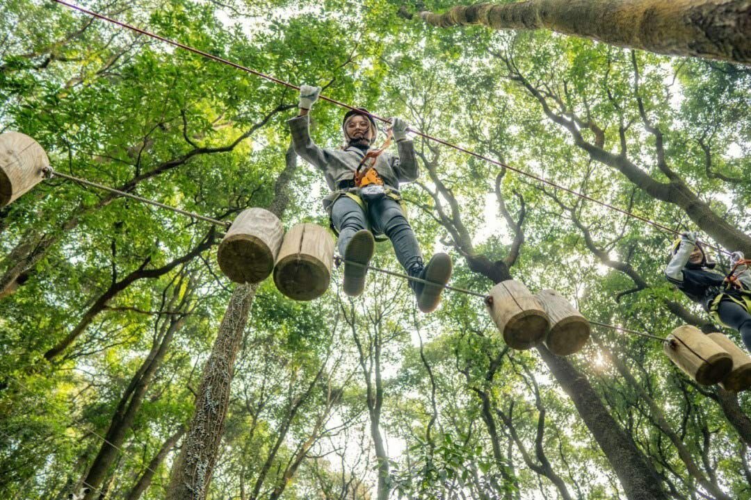 Jungle Rope Course (9).jpg