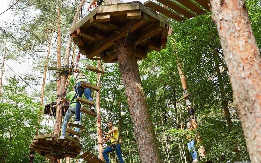 Jungle Rope Course.jpg