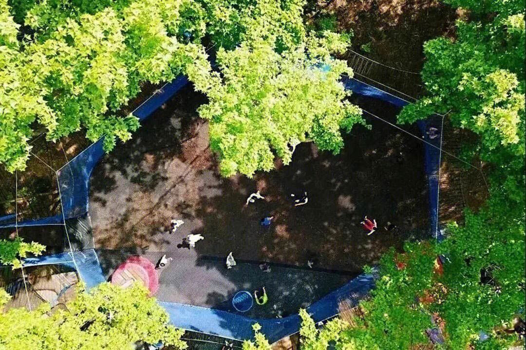 Treetop trampoline Nets (3).jpg Treetop trampoline Nets (3).jpg