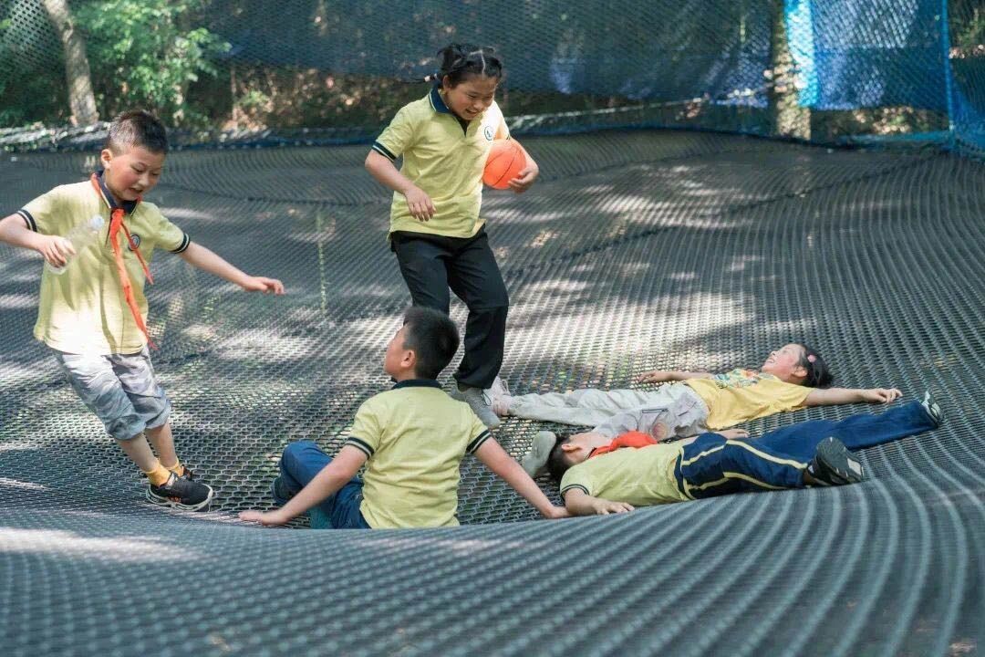 Treetop trampoline Nets (5).jpg
