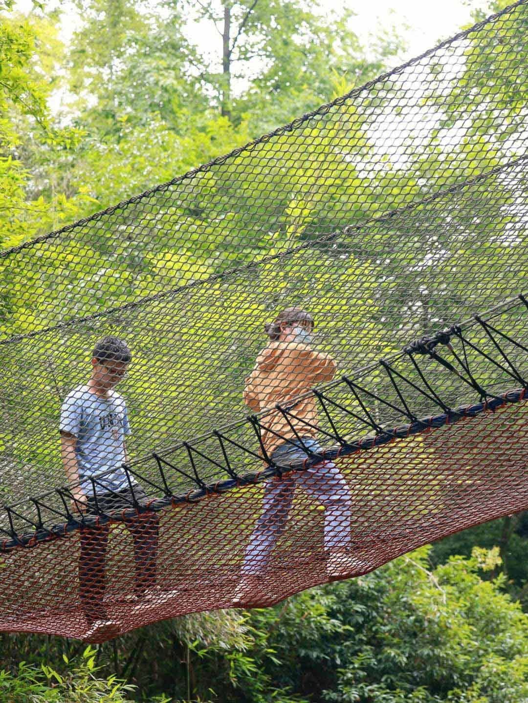 Treetop trampoline Nets (8).jpg