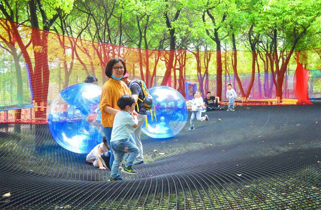 Treetop trampoline Nets (9).jpg Treetop trampoline Nets (9).jpg