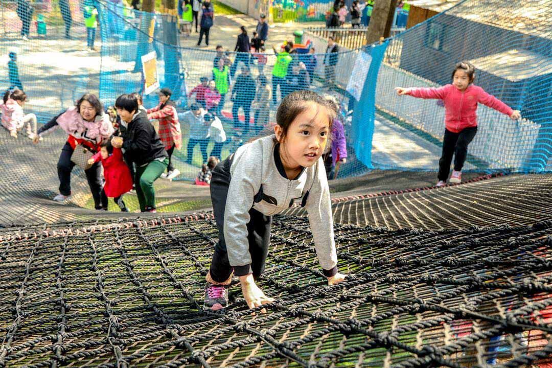 Treetop trampoline Nets (10).jpg Treetop trampoline Nets (10).jpg