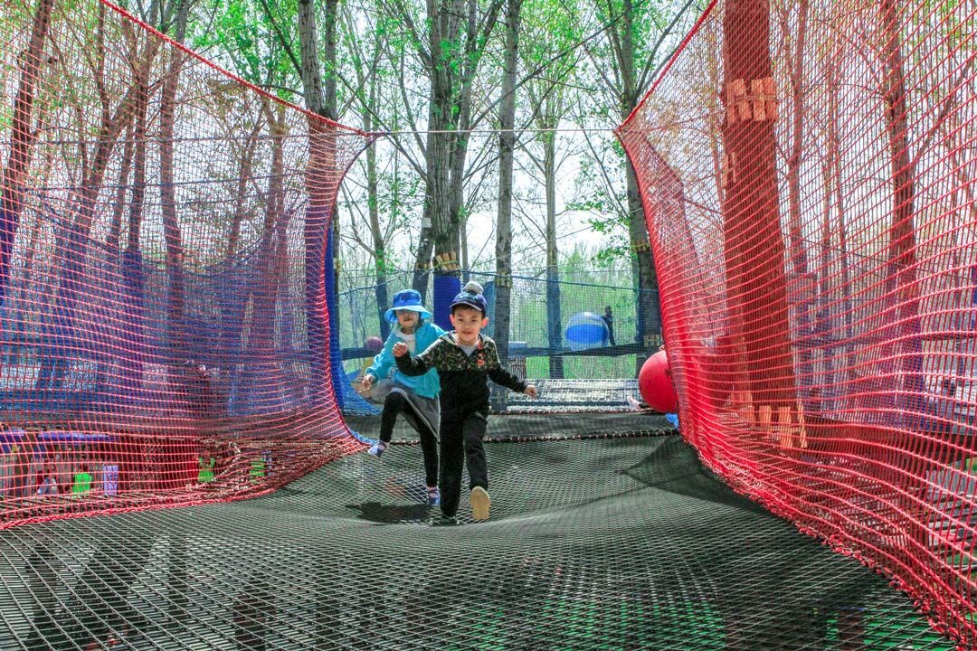 Treetop trampoline Nets (11).jpg