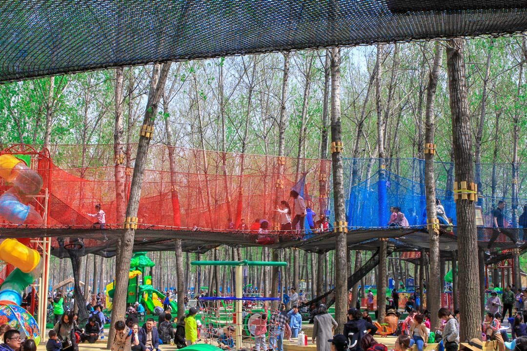 Treetop trampoline Nets (12).jpg