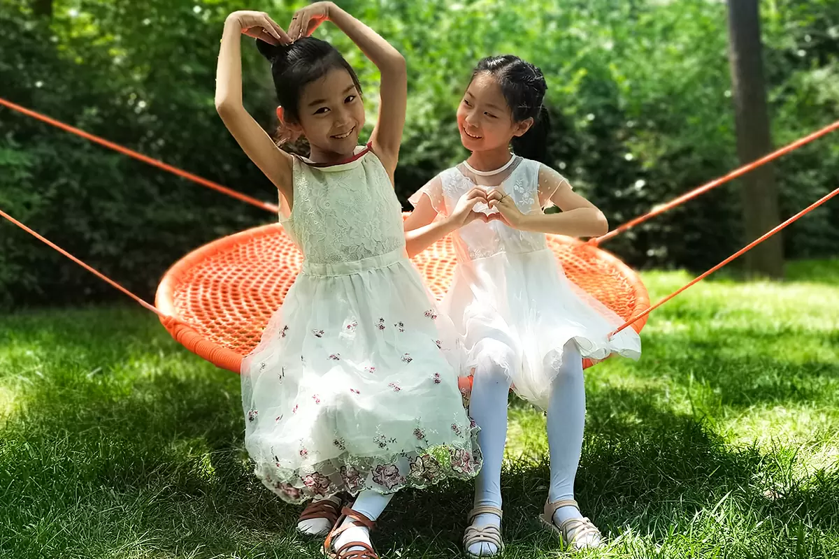 Disc Swing