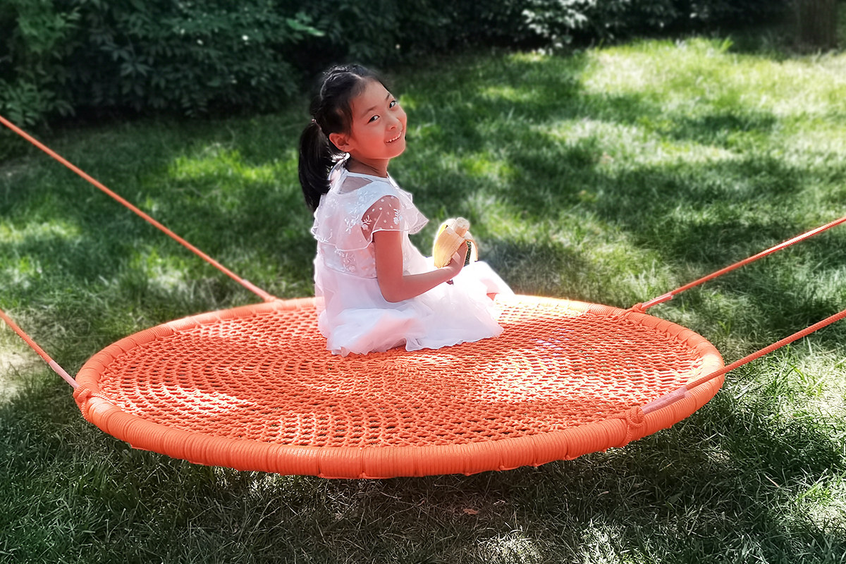Disc Swing
