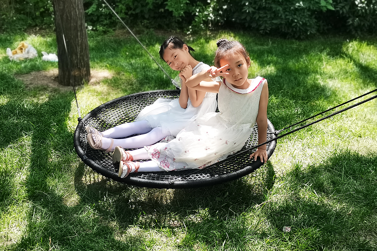 Disc Swing