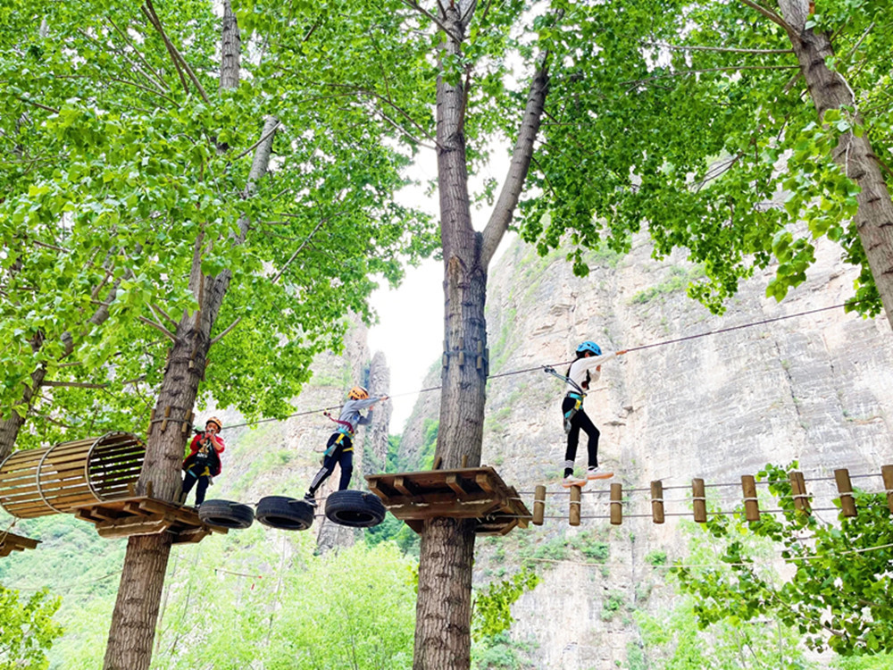 Jungle Rope Course (2).jpg