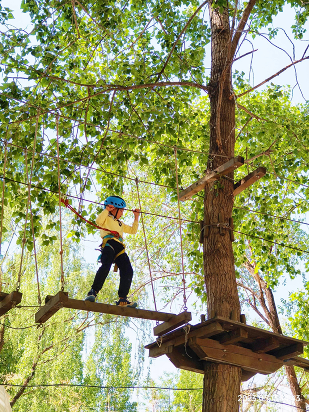 Jungle Rope Course (3).jpg