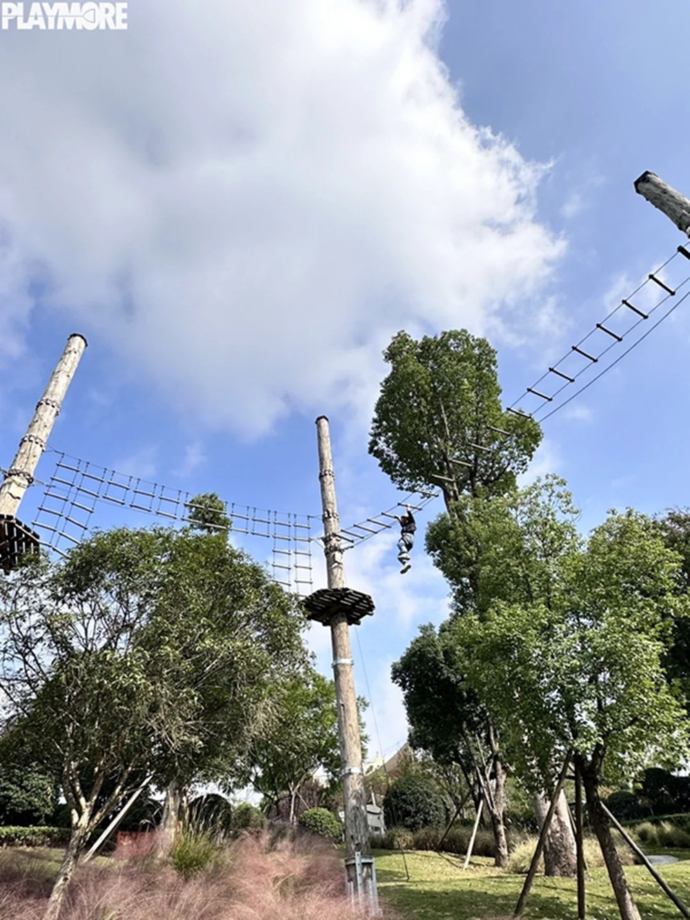 Jungle Rope Course (5).jpg