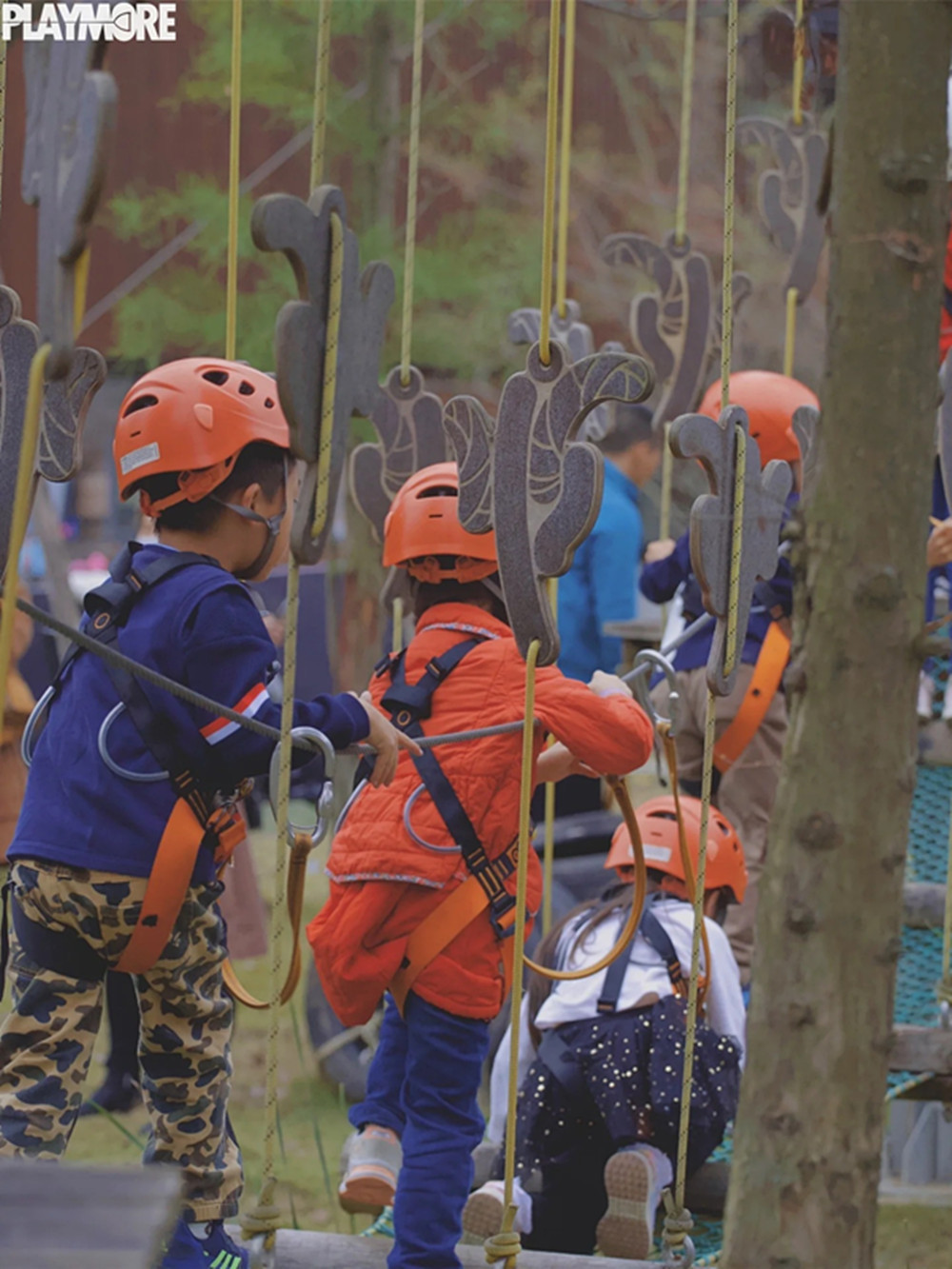 Jungle Rope Course (6).jpg