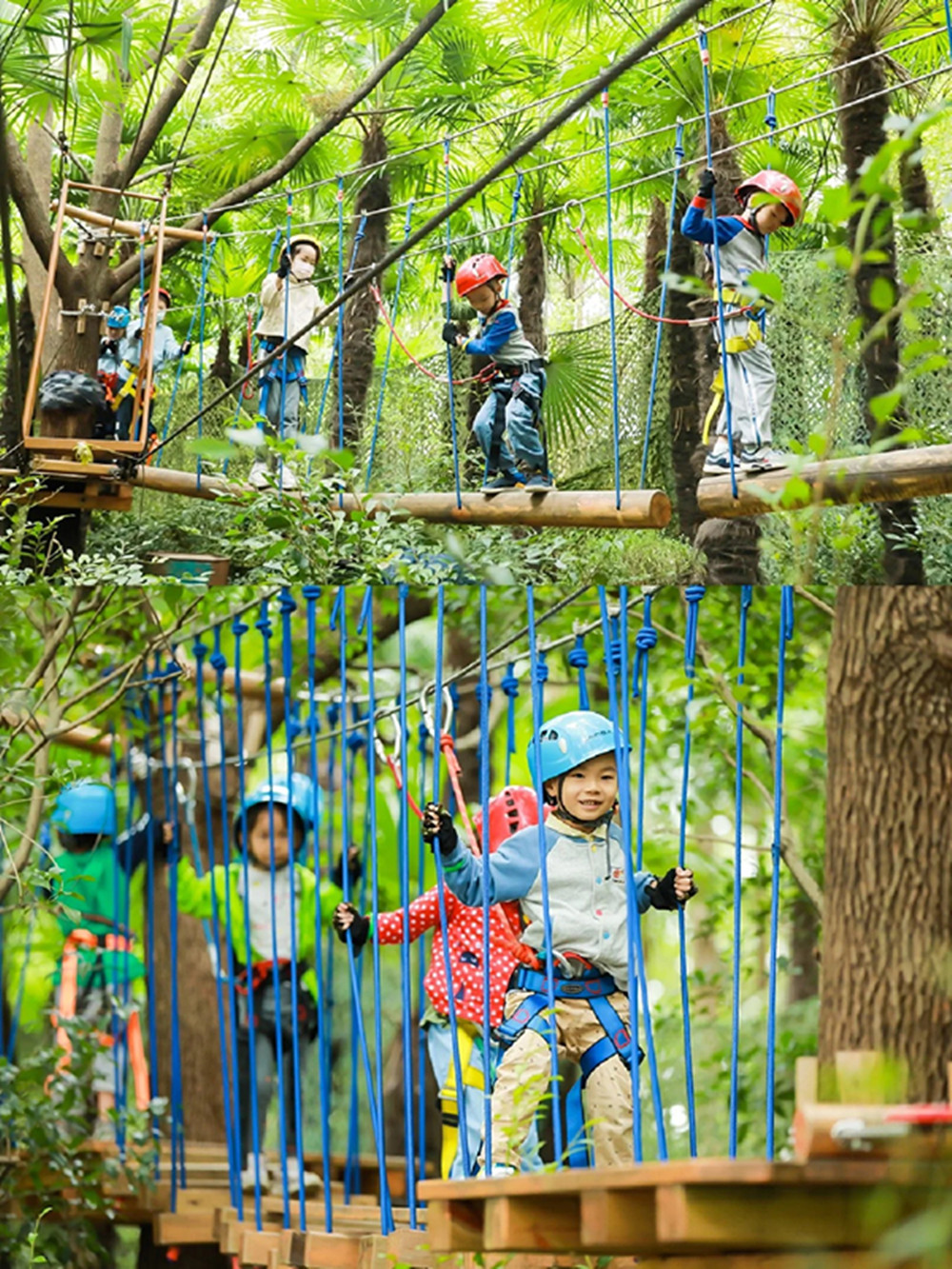 Jungle Rope Course (8).jpg