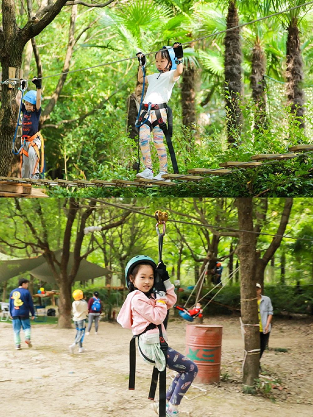 Jungle Rope Course (9).jpg