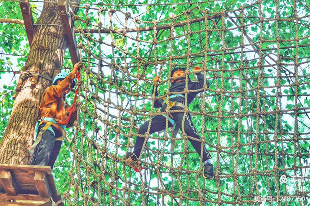 Jungle Rope Course (13).jpg