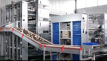 10% discount on layers chicken cage enhances productivity simplifies bird management and is durable